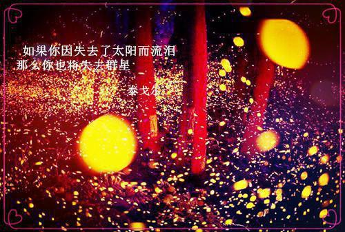 林惜陈泽生林婉章节目录 择生无弹窗全文阅读