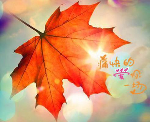 桑晚依裴寒笙小说完整（桑晚依裴寒笙txt）全文免费阅读无弹窗大结局_桑晚依裴寒笙最新章节列表（桑晚依裴寒笙）