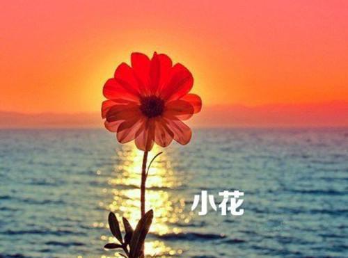 姜知许墨琛（姜知许墨琛小说）全文免费阅读无弹窗大结局_(姜知许墨琛小说免费阅读)最新章节列表（姜知许墨琛小说）
