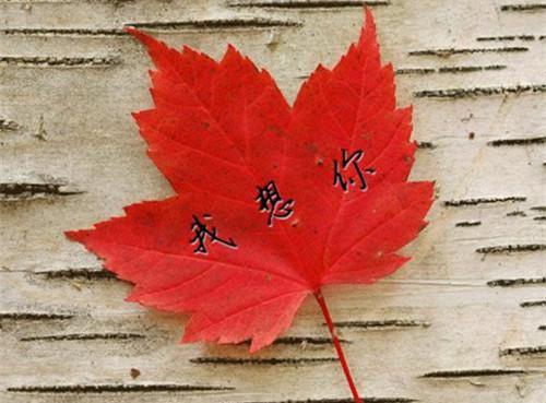 姬知絮商平生免费txt（商平生姬知絮）全文免费阅读无弹窗大结局_姬知絮商平生免费免费阅读最新章节列表（商平生姬知絮）