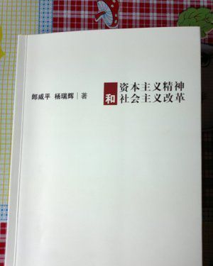 《资本主义精神和社会主义改革》读后感精选10篇