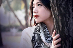 嘉嘉等等我(陆河沈羡之)全文免费阅读无弹窗大结局_(嘉嘉等等我)陆河