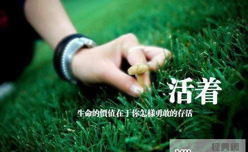 放低姿态面对生活