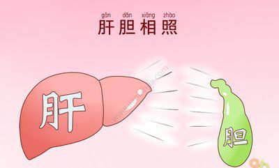 关于肝胆相照名言名句