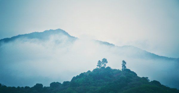 生命的最高境界！（顿悟）