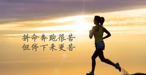 拼命奔跑很苦但停下来更苦