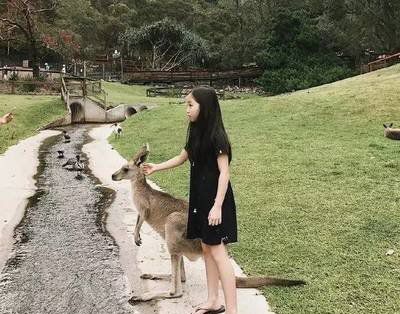 《没关系，爸爸的女儿》经典观后感有感