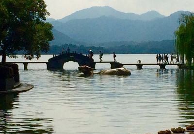 雷峰塔读后感锦集